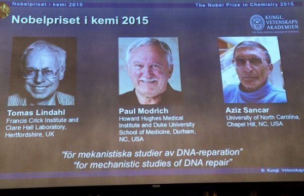 Нобелевскую премию по химии вручили за изучение механизмов восстановления ДНК