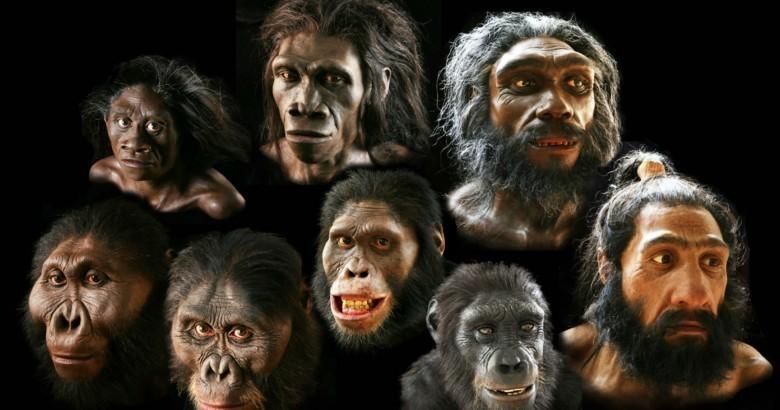 Предки людей скрещивались с неизвестным науке видом- ученые
